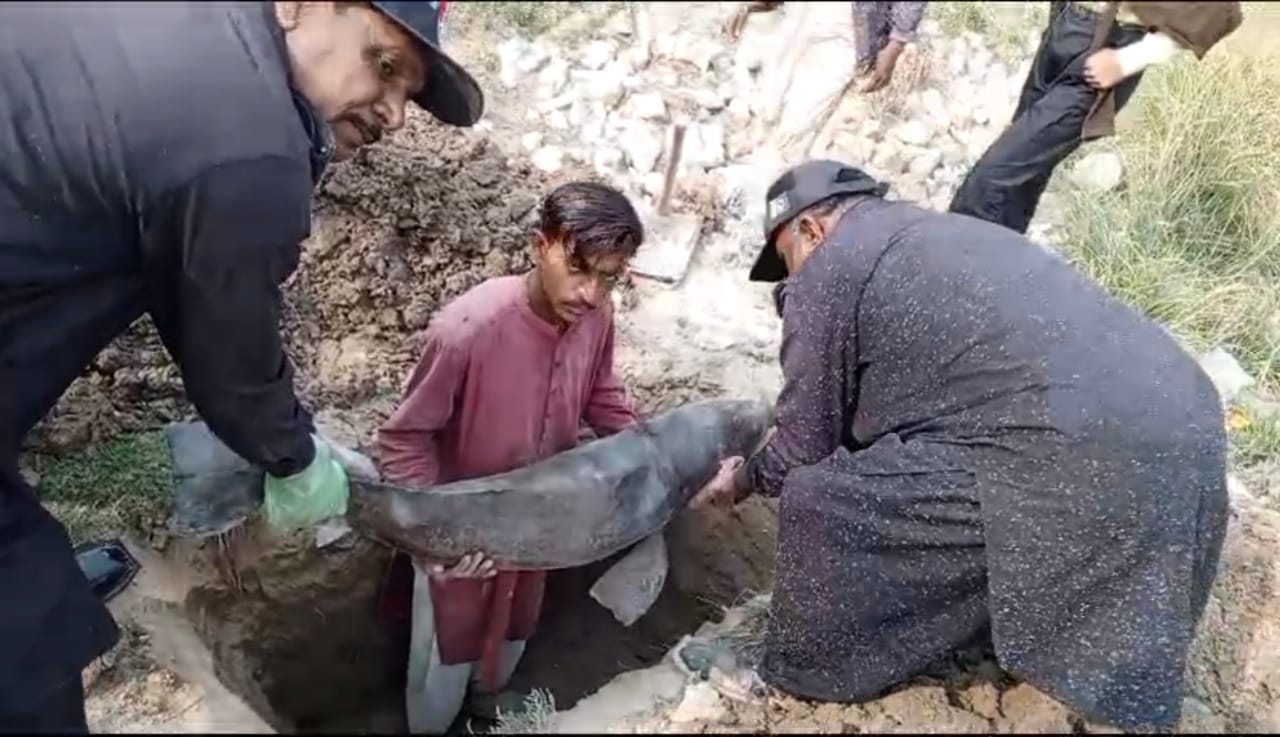 مٺياڻي ويجھو ڳوٺاڻن جي غفلت سبب مري ويل انڌي ٻلھڻ کي عدالت آندو ويو