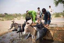 جنگشاھي ۽ ڀرپاسي پيئڻ جو پاڻي اڻلڀ، رھواسي سخت تڪليفن کي منھن ڏيڻ تي مجبور