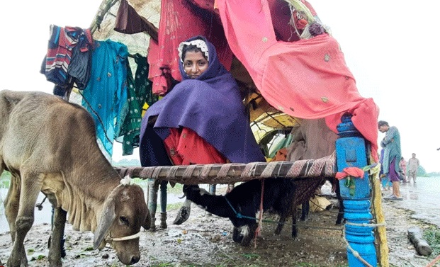 سندھ کے سیلاب متاثرین کے لیے خوشخبری