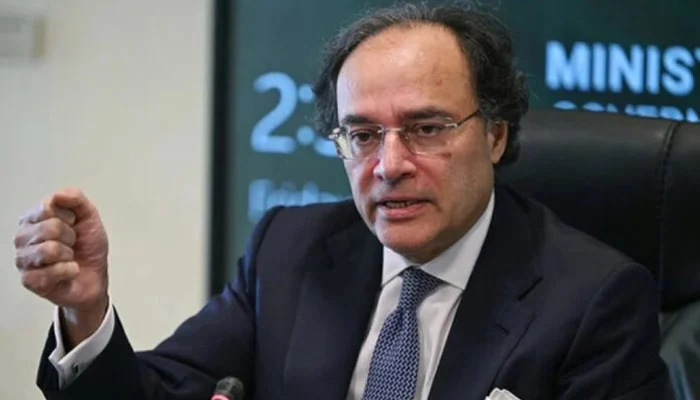 24 سرکاری ادارے نجی شعبے کے حوالے کرنے کی تیاری—وزیر خزانہ