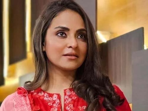 بالی ووڈ والوں کے پاس کاپی کے سوا کچھ نہیں بچا: نادیہ خان