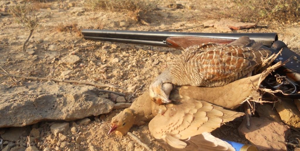 بلڑی شاہ کریم میں شکار سے منع کرنے پر وڈیرے نے حسین ملاح کو گولیاں مار کر قتل کر دیا