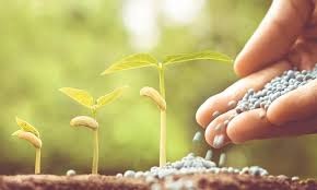 اسلام آباد: CABI کے زیر اہتمام میڈیا ورکشاپ کا انقعاد، ماہرین کی پاکستان میں فصلوں کو کیڑا لگنے اور اسکو روکنے سے متعلق آگاہی