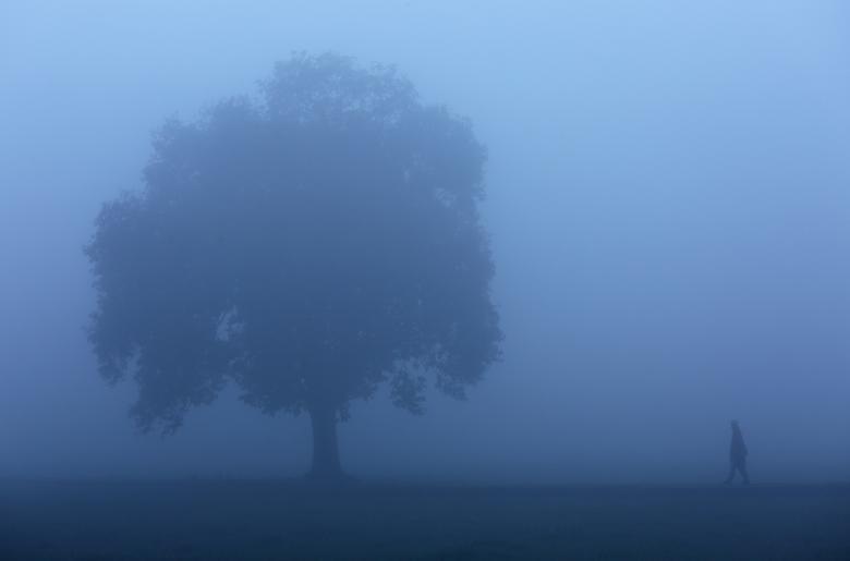 نوشهروفيروز ۽ ڀرپاسي شديد ڪوهيڙو، حد نگاهه گهٽجي وئي
