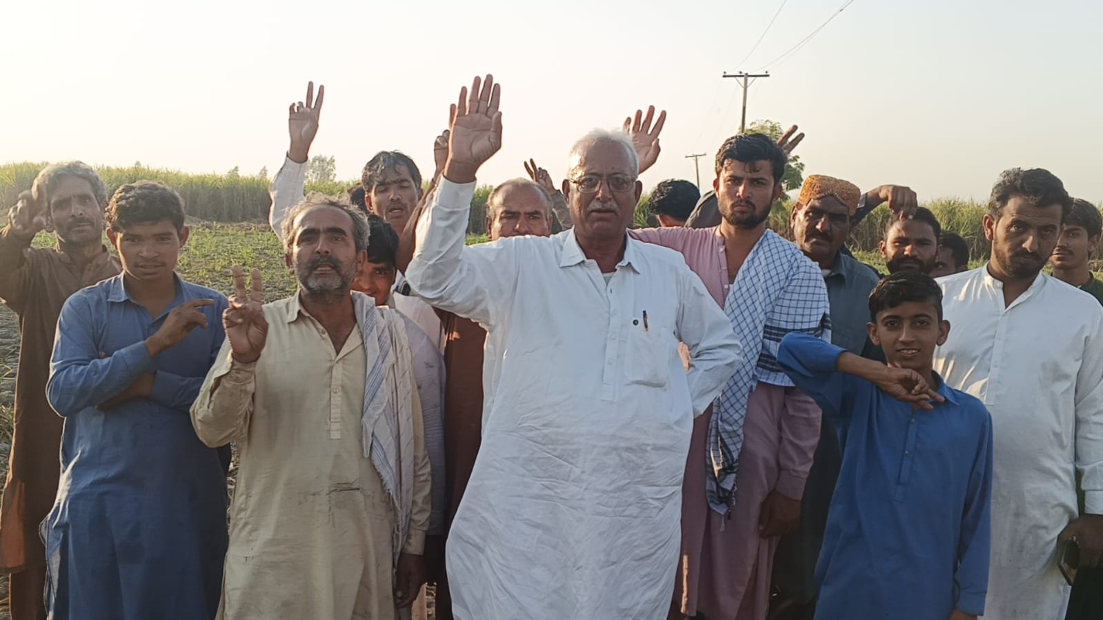 مورو ڀرسان بجلي جي تارن مان باهه لڳڻ سبب 10 ايڪڙن کان وڌيڪ ڪمند سڙي رک