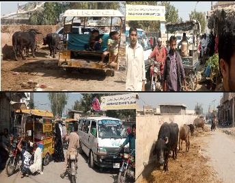 ڏوڪري تعلقي اسپتال روڊ تي حددخلين جو آزار، ٽريفڪ جام معمول بڻيل