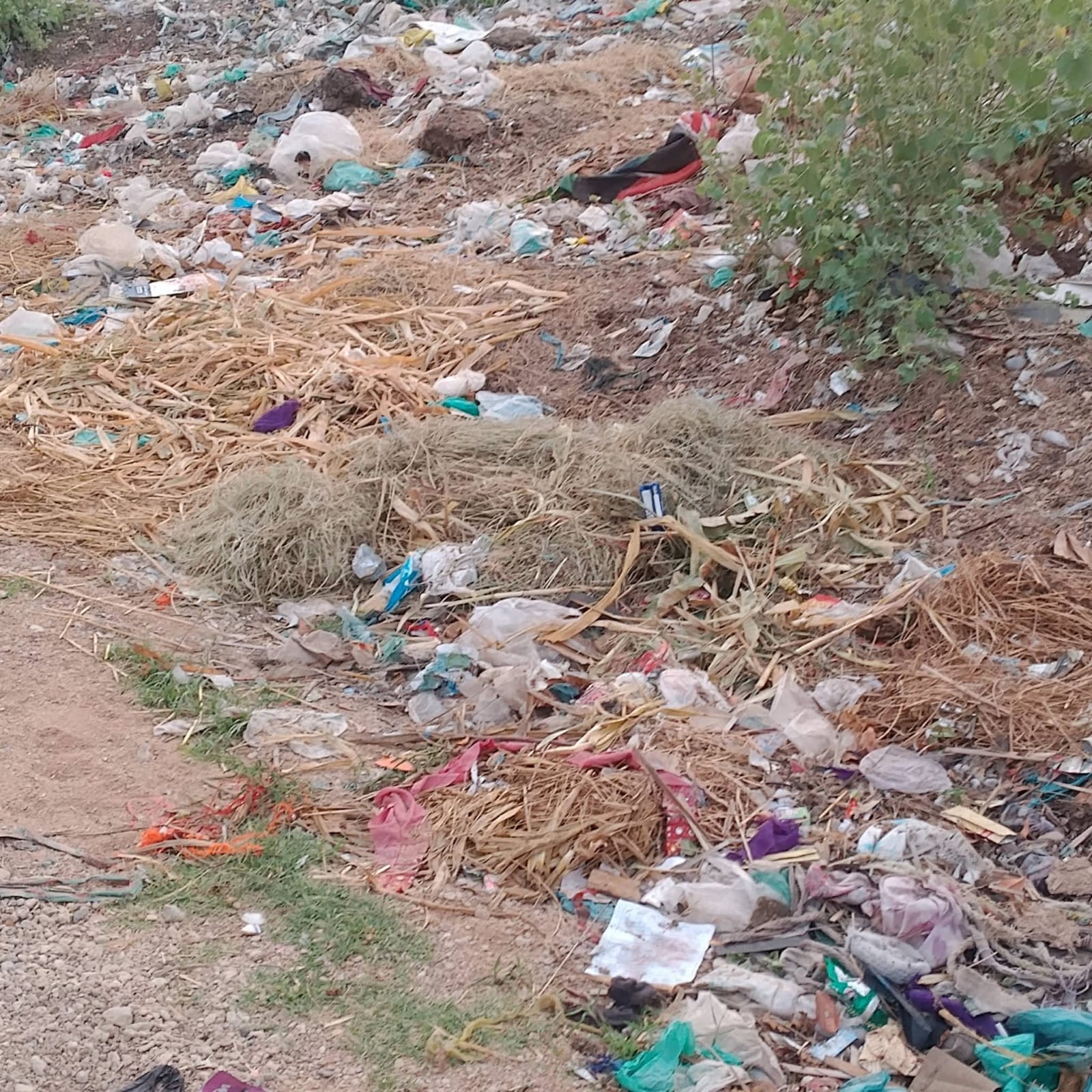 ابراهيم حيدري جو لاشاري ڳوٺ گندگي جي ور چڙهيل, انتظاميه ننڊ سُتل