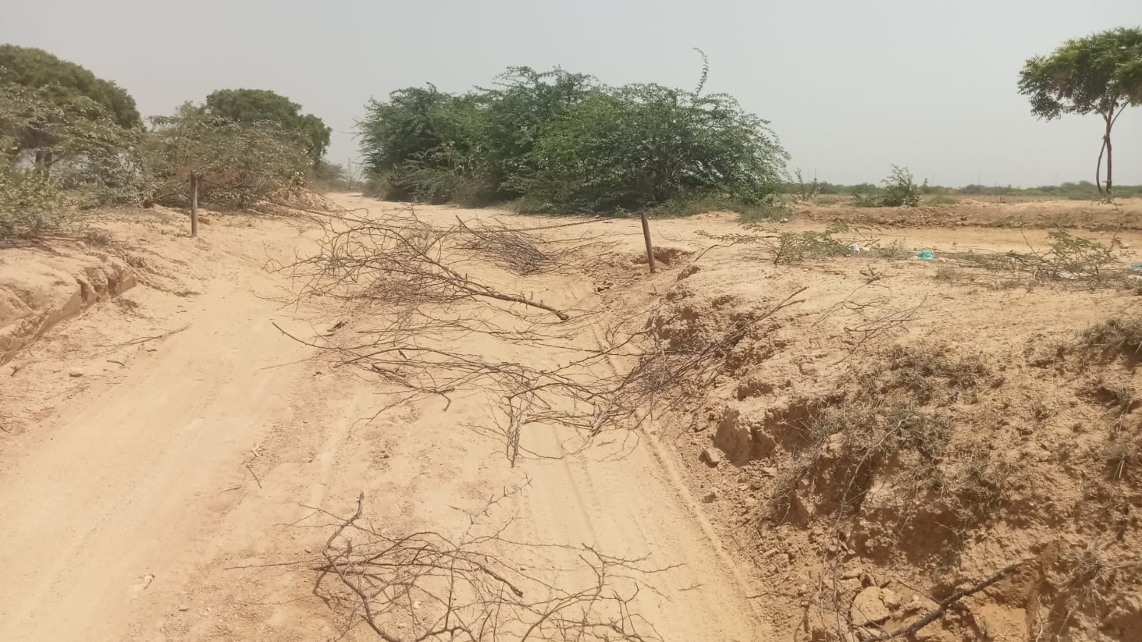 ملير ۾ ريتي بجري چوري خلاف پوليس جون ڪارروايون، هڪ جوابدار گرفتار