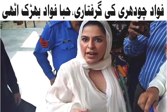 فواد چودھری کی گرفتاری، حبا فواد بھڑک اٹھی
