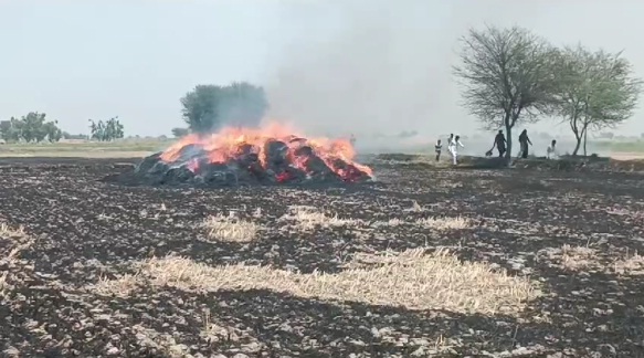 ڳيريلو: ڳوٺ محراب سنديلو ۾ شرپسندن پاران 9 جريبن جي ڪڻڪ جي ديري کي باھھ