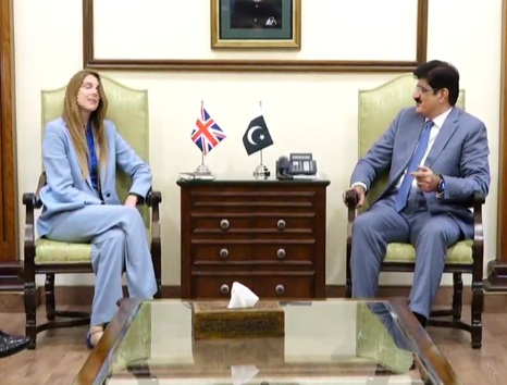 کراچی، وزیرِ اعلیٰ سندھ سید مراد علی شاہ سے برطانوی ہائی کمشنر محترمہ جین میریٹ کی ملاقات