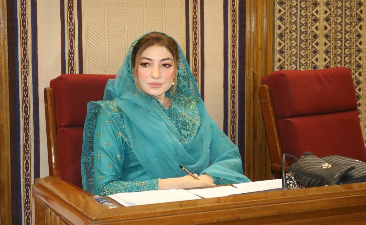 کشمیر پاکستان کی شہ رگ ہے، بھارتی مظالم پر خاموش نہیں رہیں گے، فرح عظیم شاہ