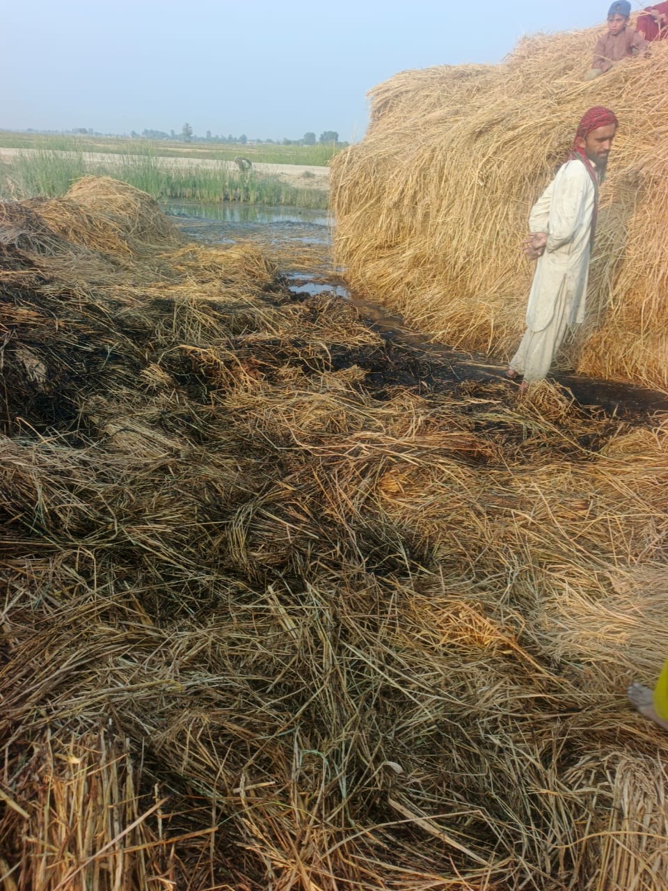 شڪارپور ڀرسان ڳوٺ عطر جي وانڍ وٽ سارين جي ديري کي باهه، سوين مڻ ساريون سڙي ويون