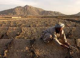 بلوچستان خشک سالی کی لپیٹ میں—قابلِ کاشت زمین خطرناک حد تک سکڑ گئی