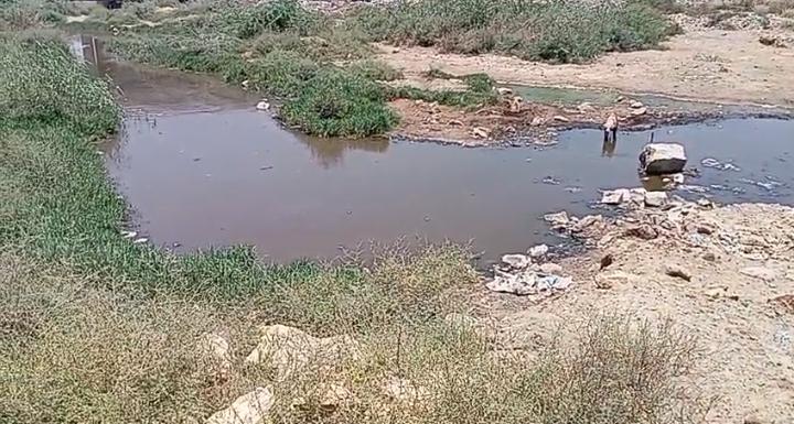 ملير: مراد ميمڻ سب ڊويزن ۾ اربين رپين جي سرڪاري زمينن تي مبينا قبضا