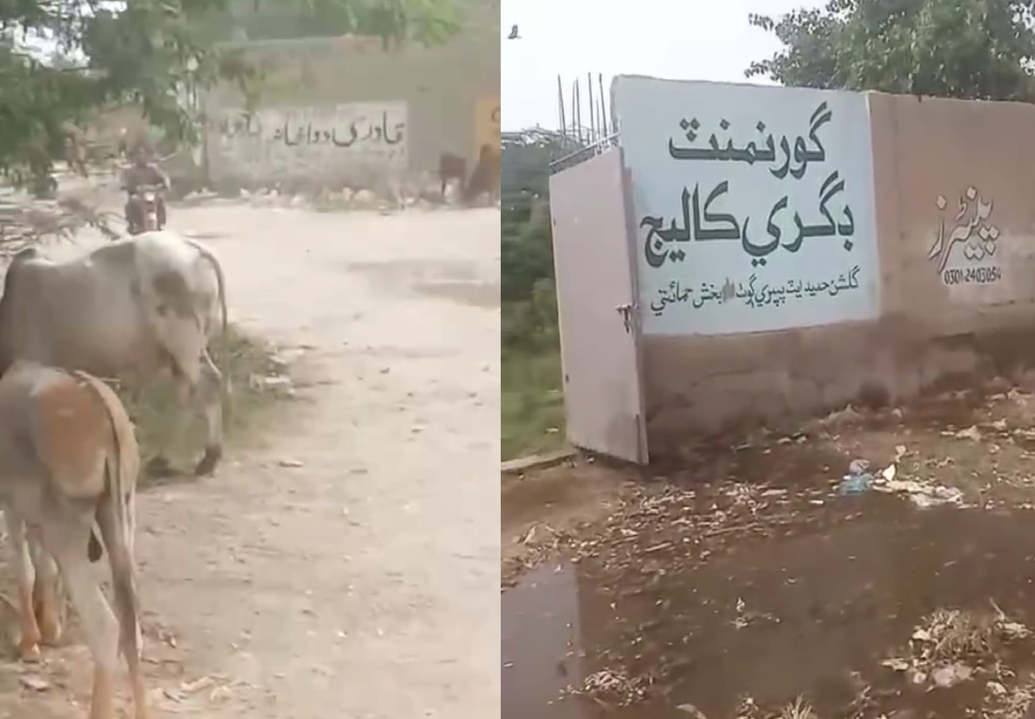 ملير: بوائز ڊگري ڪاليج گلشن حديد ۾ بي ضابطگين جو انڪشاف