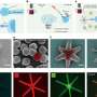 Spinning, magnetic micro-robots help researchers probe immune cell recognition