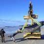 World's rarest whale may have washed up on New Zealand beach, possibly shedding clues on species